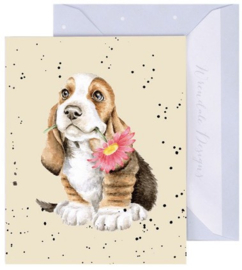 Wrendale Designs 'Just For You' Basset Hound - miniature card