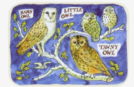 Emma Bridgewater Owls Pocket Tin