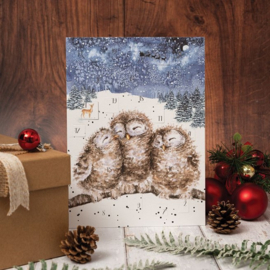 Wrendale 'Three Wise Men' Owl Advent Calendar