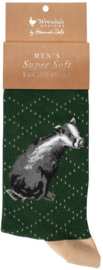 Wrendale Designs Socks 'The Country Gent' Badger - Heren maat 41–46