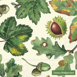 Emma Bridgewater Tree & Leaves Lunch Napkins