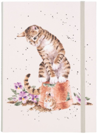 Wrendale Designs Notebook - B6 'Hide and Squeak' Cat