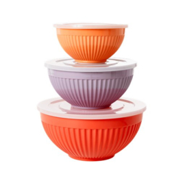 Rice Melamine Bowls with Lid - 'Orange, Lavender en Abricot' - Set of 3
