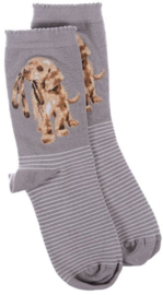 Wrendale Designs Socks 'Hopeful' Labrador - Dames maat 37–41