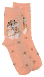Wrendale Designs Socks 'Diet Starts Tomorrow' Hamster - Dames maat 37–41