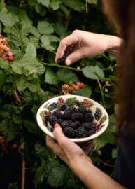 Emma Bridgewater Fruits - Blackberry - Cereal Bowl
