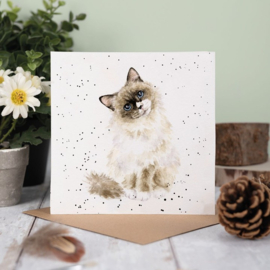 Wrendale Designs 'Paws for Thought' Cat Card