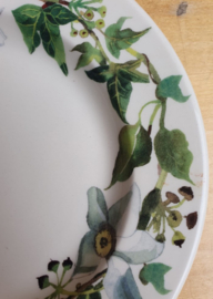 Emma Bridgewater Flowers - Ivy - 6 1/2 Inch Plate *b-keuze*