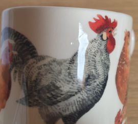Emma Bridgewater Rise & Shine - Brand New Day - 1/2 Pint Mug *b-keuze*
