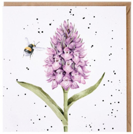 Wrendale Designs Card 'Marsh Orchid'