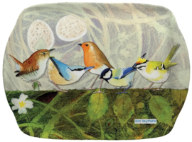 Emma Ball Scatter Tray - British Birds