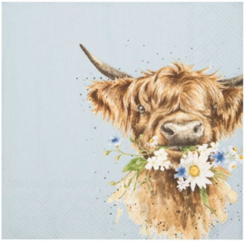 Wrendale Designs Cocktail Napkins 'Daisy Coo' Highland Cow