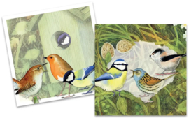 Emma Ball Mini Cards - British Birds - set van 10 met envelop