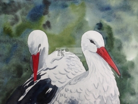 Stork watercolor painting