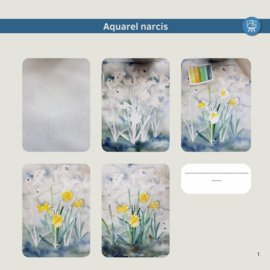 Les aquarel schilderen van narcis: Realtime tutorial video + werkbladen + lijntekening