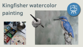 Les ijsvogel: werkbladen + lijntekening + kort realtime fragment