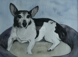 Hond aquarel