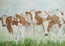 Cows watercolor painting