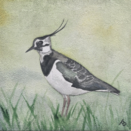 Kievit vogel: Mini aquarel