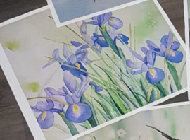 Kussen iris