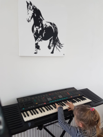 1-april 2019 tot augustus 2019 Geertuida hoeve