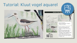 Les vogel kluut aquarel: Realtime proces tutorial video + werkbladen + lijntekening
