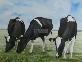 Koeien aquarel schilderij