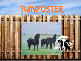 Friese paarden tuinposter