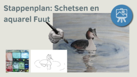 Les schets van een fuut en aquarel schilderen. Stappenplan, werkbladen en lijntekening