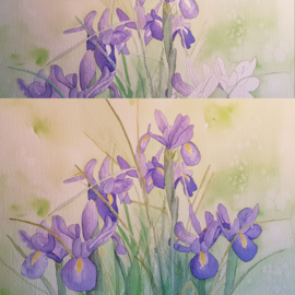 Les iris bloem aquarel: stappenplan tutorial video + werkbladen + lijntekening