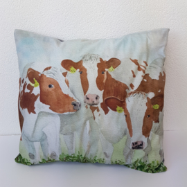 Cushion cow