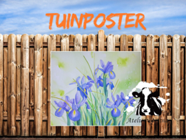 Iris tuinposter