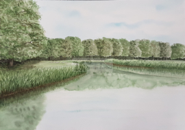 Ganzepan Overijssel aquarel schilderij