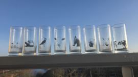 Kievit longdrinkglas