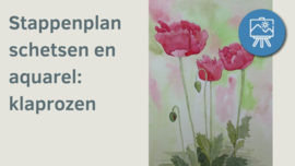 Les klaprozen schetsen en aquarel: stappenplan tutorial video + werkbladen + lijntekening