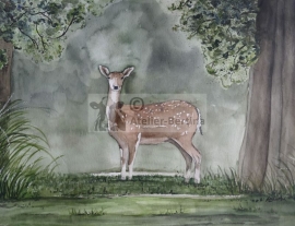 Roe watercolor painting