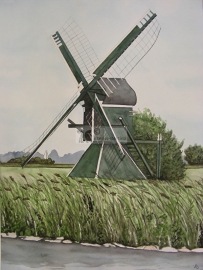 Spinnekopmolen  aquarel schilderij