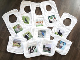 Horse bibs