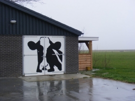 Barn Door Mural