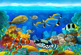 Les: aqua onder water wereld