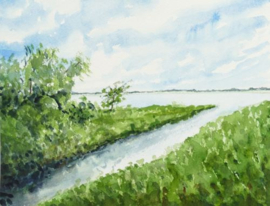 Zuidladermeer zijtak aquarel schilderij