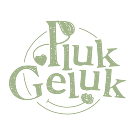 Zondag 27 mei 2026: Workshop vogelhuisjes pimpen voor pluktuin Raalte noord