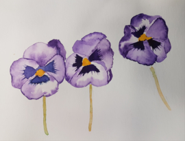 Workshop: aquarel schilderen op papier op uw locatie (datum in overleg)