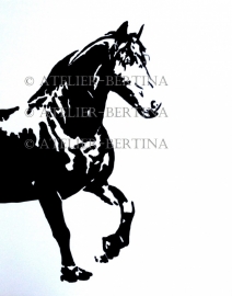 Horse acrylic painting