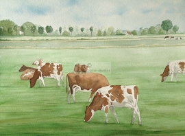 Rood bont koeien aquarel schilderij