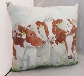 Cushion cow