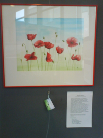 Expositie gemeentehuis grou 2009