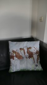 Cushion cow