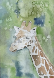 Giraffe watercolor painting