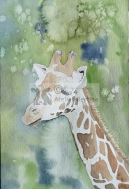 Giraffe aquarel schilderij